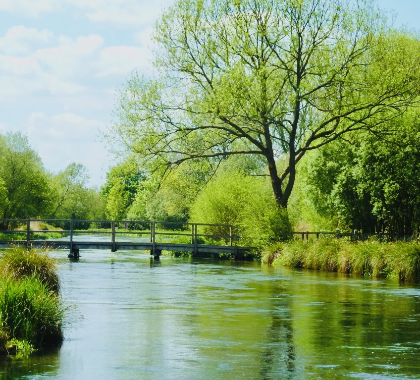Drawing and Colour Workshop on the River Test - Art Draw Paint